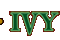 IVY Tampa Nightclubs
